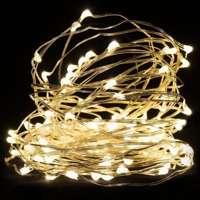 The Purple Tree 5M 50 LED Copper String Lights Rice Light - 1 pc (5 Meter) Battery Powered