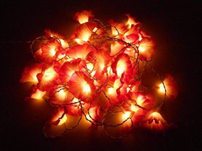 Tu Casa DW-218-11 Kupi Flower String Light (Purple/Offwhite)