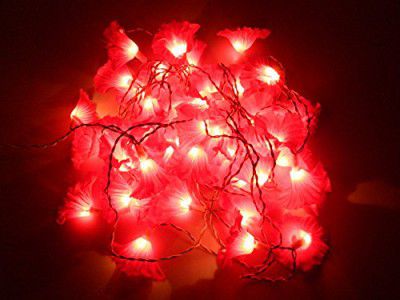 Tu Casa DW-252-11 Kupi Flower String Light (Dark Red)