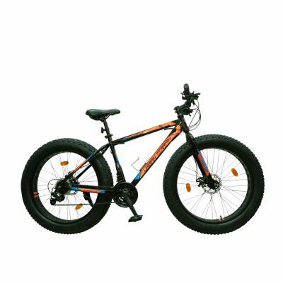 Urban terrain hot sale fat tyre cycle