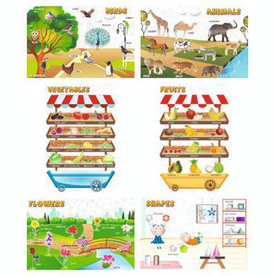 Vantagekart Birds, Animals, Vegetables, Fruits, Flowers, Shapes Educational Wall Posters/charts for Preschool kids, Learning Toy For Toddler- (Paper, 12x18-inch, Multi) - Set of 6