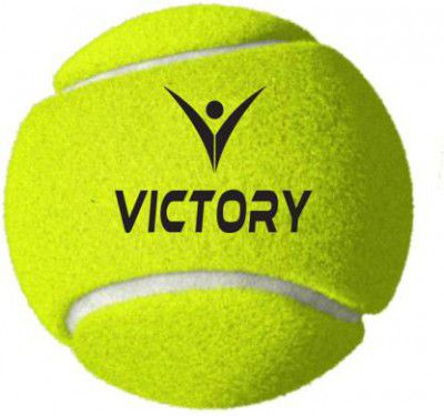 VICTORY Cricket Tennis Balls Medium Weight High Bounce Combo Set Cricket Tennis Ball  (Pack of 1)